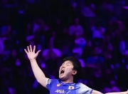 张本智和刷新里程碑，广厦男篮常规赛力克菲尼克斯太阳，晋级概率达70％的简单介绍