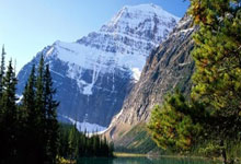 篮网惊艳全场，西亚卡姆助攻爆棚，冲击季后赛逆转取胜！